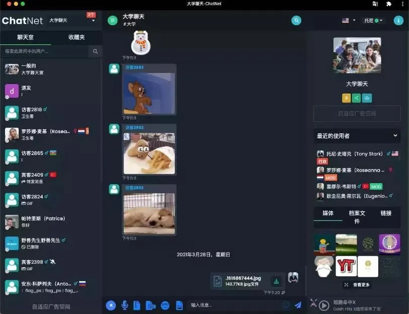 2024 ChatNet多用户在线聊天室源码 免授权版